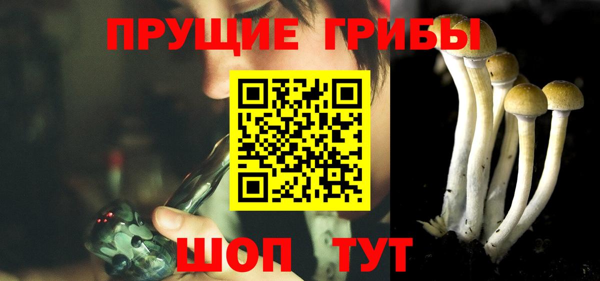 Галлюциногенные грибы MAGIC MUSHROOMS  Вход с VPN  Батайск 
